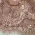 embroidered tulle